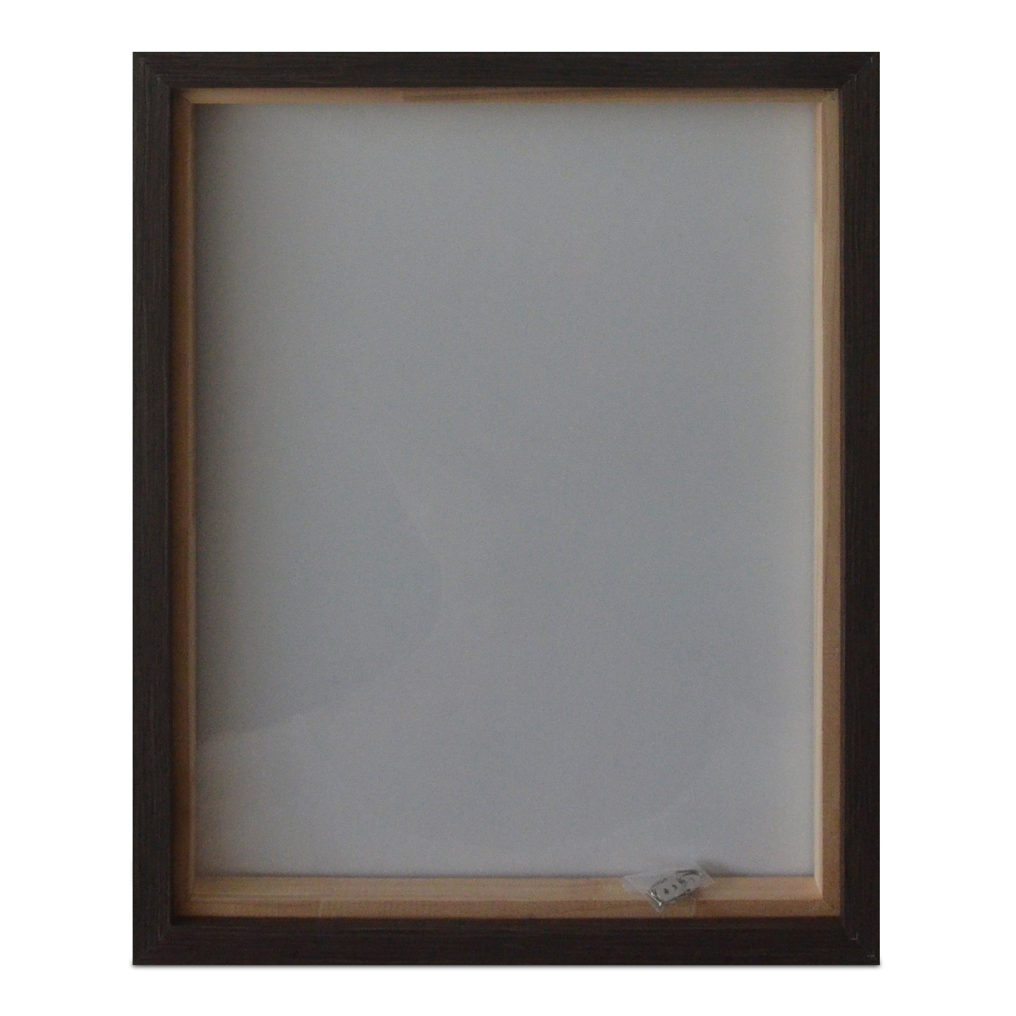 Intrepid Framed Painting