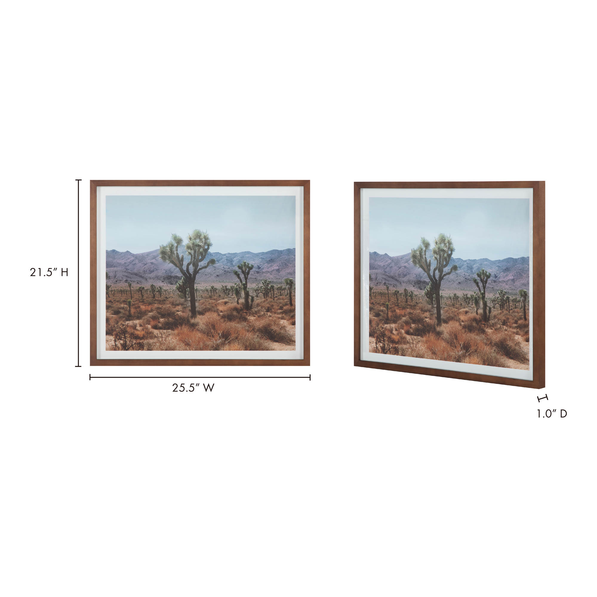 Desert Land Framed Print